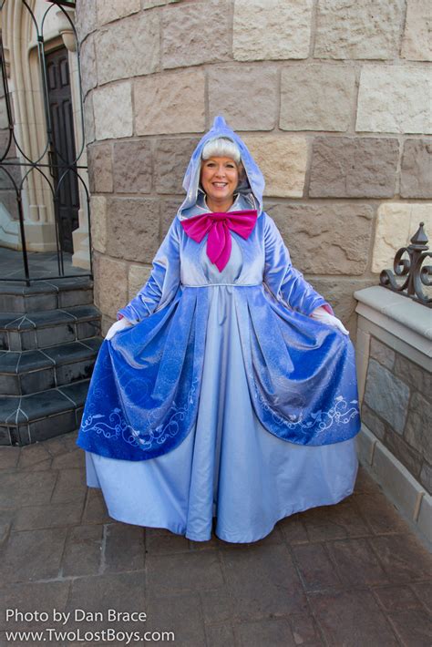 Fairy Godmother At Disney Character Central