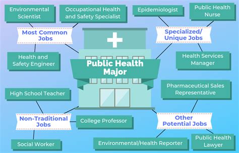 12 Jobs for Public Health Majors | The University Network