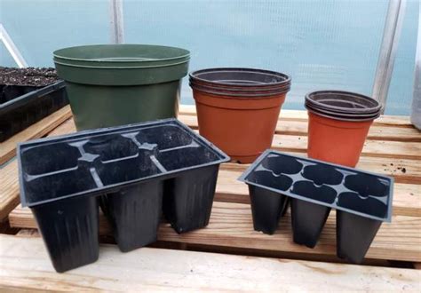 Potting Up Seedlings What Why When And How Homestead And Chill