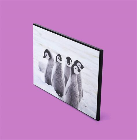 Mounted Photos Custom Frameless Photo Mounting Posterjack Canada