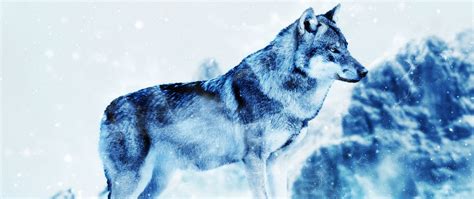 Download Wallpaper 2560x1080 Wolf Photoshop Predator Art Dual Wide