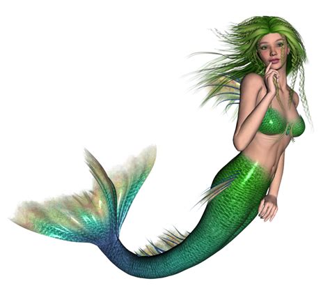 Collection Of Mermaid Png Pluspng