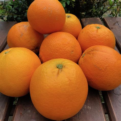 Orange Du Portugal Kilo Légumes Plus