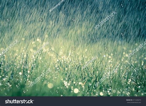 Wonderful Heavy Rain Shower In The Sunshine Of Springtime Or Summer