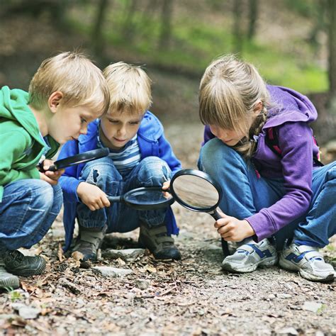 Outdoor Education A Possibility In Singapore Urban Ecology Lsm4265