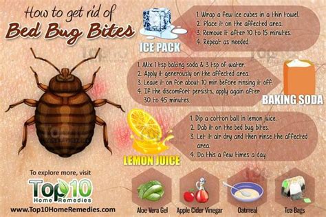 How To Get Rid Of Bed Bug Bites Other Home And Places