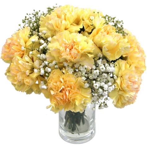 Yellow Carnations Fresh Flowers Free Uk Delivery