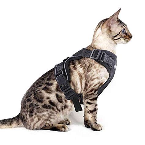 Get the best deals on cat harnesses & leashes. Small Dog Harness Cat Harness Escape Proof Cat and Dog ...