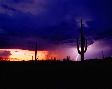 Wallpaper Storms Lightning Saguaro Natl Monument