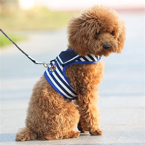 Hot Cute Small Dog Harness And Leash Collar Leads Navy Style Pet Vest