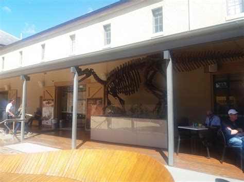 Visiting The Tasmanian Museum And Art Gallery In Hobart Australia