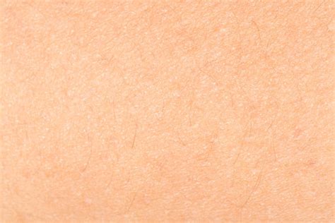 Human Skin Texture Images Browse 26371 Stock Photos Vectors And