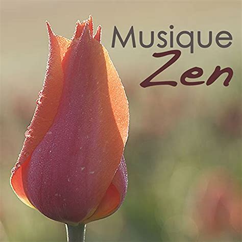 Musique Zen Coffret Bien Tre De Musique Relaxante Piano Et New Age