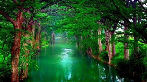 Nature Wallpaper Hinh Nen Thien Nhien Dep Nhat Hinh Nen May Tinh Images