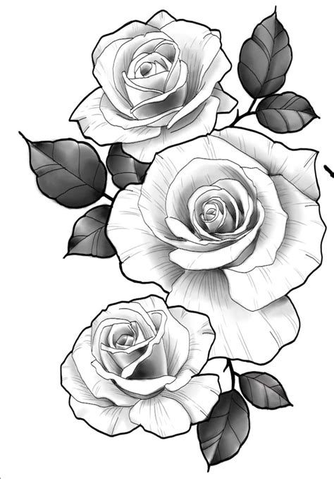 Pin De Pelao Santiago En Rosas Flores Plantillas De Tatuajes Dibujos