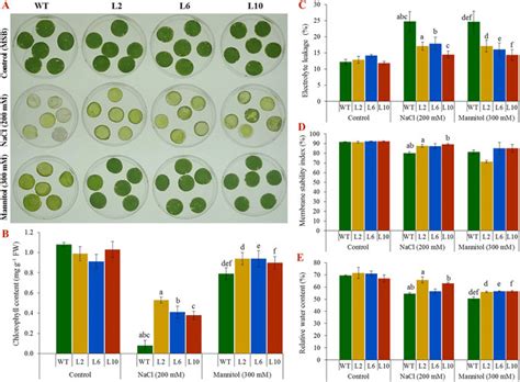 We did not find results for: Leaf disc assay and physiological analyses of transgenic ...