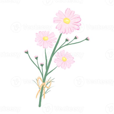 Pink Cosmos Pastel Bouquet Colors Minimal Flowers Hand Drawn 25252155 Png