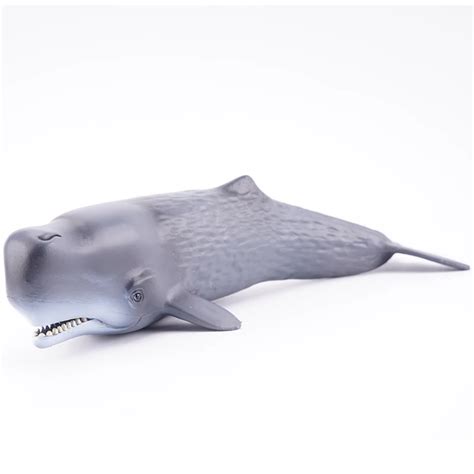 Buy Free Shippingmofunplastic Sea Marine Animal Toy