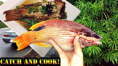 Aawa Hawaiian Table Boss Fishing Catch And Cook Youtube