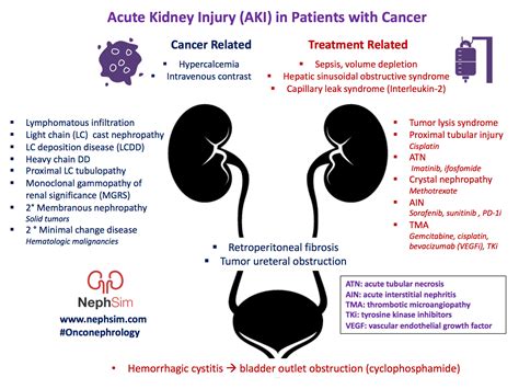 Acute Kidney Injury Aki In Patients With Cancer Cancer Grepmed