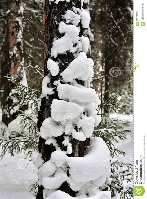 In The Woods Stock Image Image Of Blizzard Snowmen 95079093