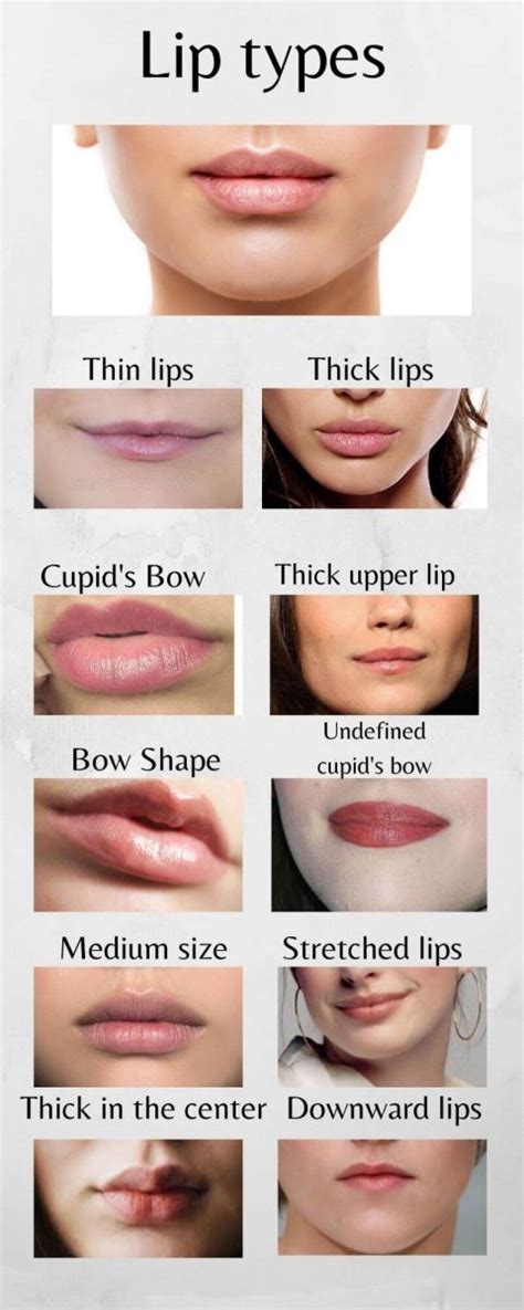 what is the most attractive lip shape ⬅️ build your body