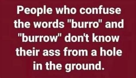 People Who Confuse The Words Burro And Burrow Dont Know Their Ass
