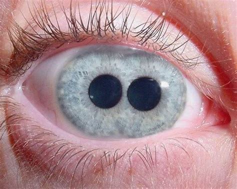 Xing Fu Eye With Two Pupils
