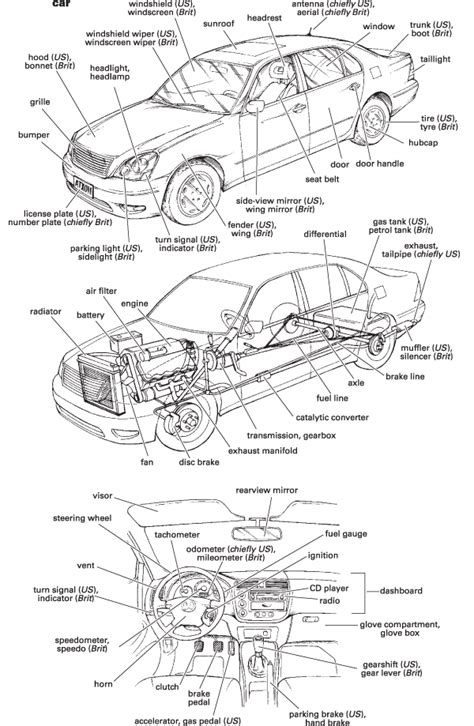 1 internal body parts pictures with name 2 human body parts pictures with names 3 human body parts in this video : Car - Definition for English-Language Learners from ...