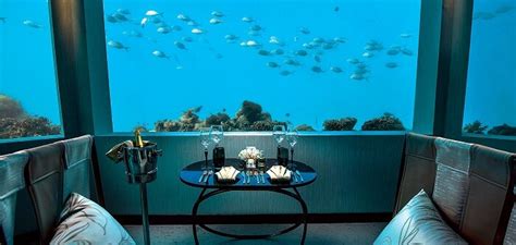 5 Underwater Restaurants In Maldives You Cant Miss