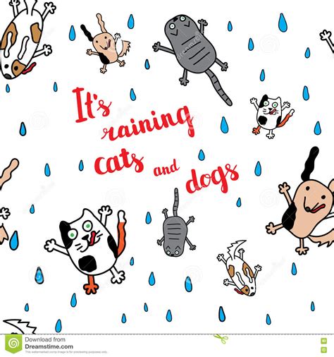 Picture Of Cats And Dogs Raining Raining Cats And Dogs S Tenor