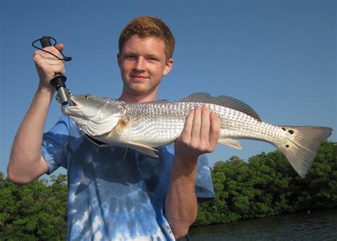 9 Redfish Fishing Tips Along Floridas Coast