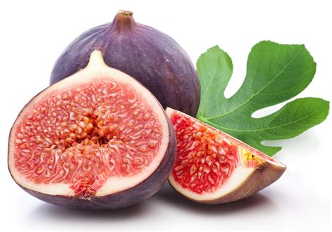 The plants have been cultivated since ancient times and the trees are also used for ornamental purposes. Interesting facts about figs | Just Fun Facts