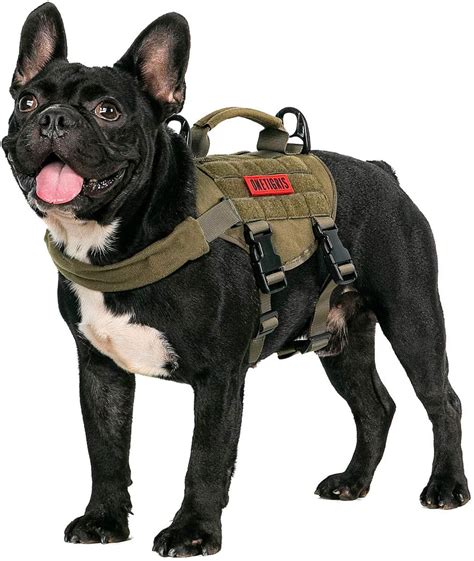 5 Best Harness For French Bulldog Puppy 2022 Best Protection Dogs