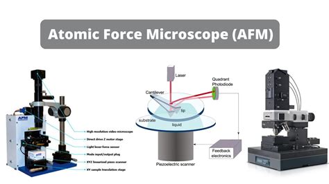 Atomic Force Microscope Afm Definition Principle Application