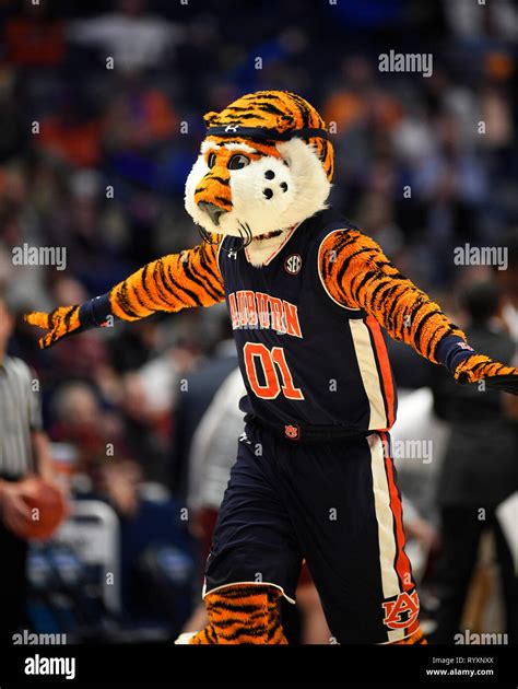 Auburn Tigers Mascot Hi Res Stock Photography And Images Alamy