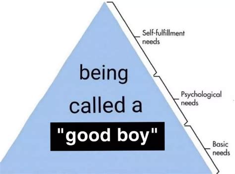 Maslows Hierarchy Of Needs Maslows Hierarchy Of Needs Maslow S My XXX Hot Girl