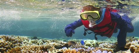 The Great Barrier Reef Snorkelling