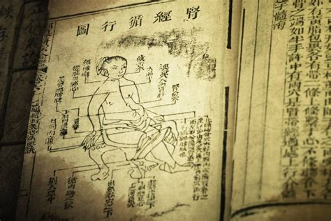 The History Of Chinese Medicine And Its Ancient Therapy Techniques Legacy Of Taste