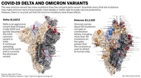 Omicron Vs Delta Comparing Covids Most Worrisome Variants Times