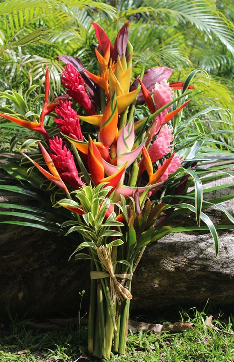 Paradise Bouquet Tropical Flowers And Bouquets Of Hawaii