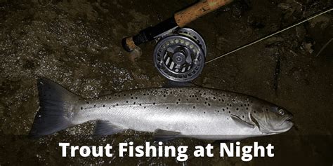 Do Trout Bite At Night Detailed Guide 2022