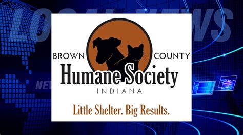 Brown County Humane Society Makes Move To New Shelter 1010 Wcsi