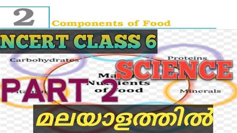 Components Of Food Part 2 Ncert Text Class 6 Science Chapter 2
