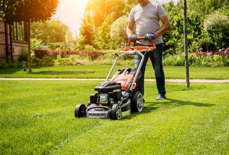 Why Maintaining Your Lawn Is Important Get A Healthy Green Yard