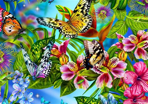 Beautiful Butterfly Wallpapers Desktop Background