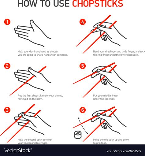 Maybe you would like to learn more about one of these? How to use chopsticks guidance Royalty Free Vector Image