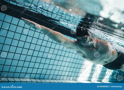 Pro Swimmer Practising In Swimming Pool Stock Image Image Of