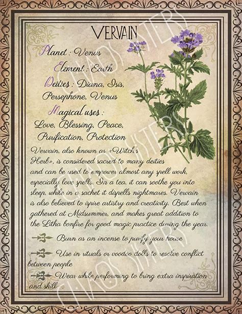 Printable Herbs Book Of Shadows Pages Set 2 Herbs Plants Etsy Wicca