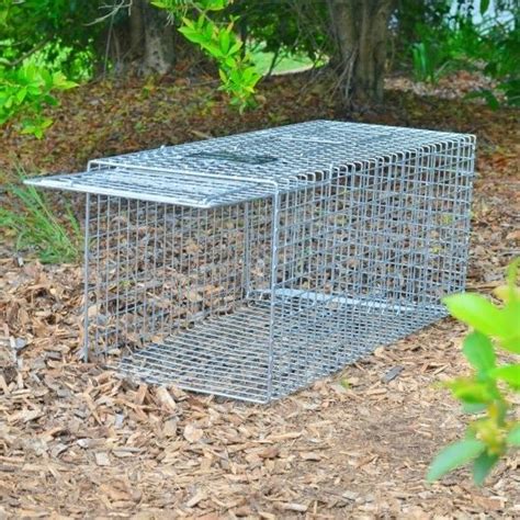Super Cat Bush Turkey Trap Professional Trapping Supplies